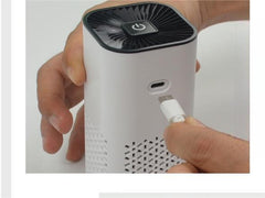 Portable Air Purifier